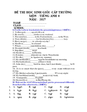 Đề thi chọn học sinh giỏi cấp trường môn Tiếng Anh Lớp 6 năm 2017